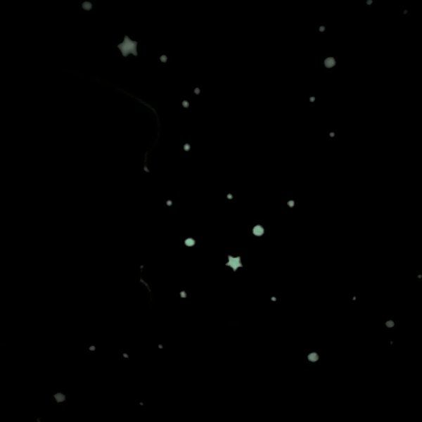 Coralina Fluorescente Game Control [product.brand] 3 - Tejidos Yasmina 