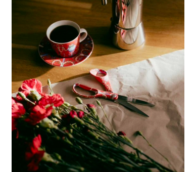 Tijeras Taika Rojo 21 cm - Fiskars X Iittala Fiskars 6 - Tejidos Yasmina Tijeras Taika Rojo 21 cm - Fiskars X Iittala Fiskars 6 - Tejidos Yasmina