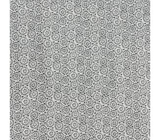 Algodón 12893 [product.brand] 2 - Tejidos Yasmina 