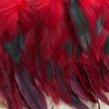 borde-plumas-rojo-tejidos-yasmina.jpg